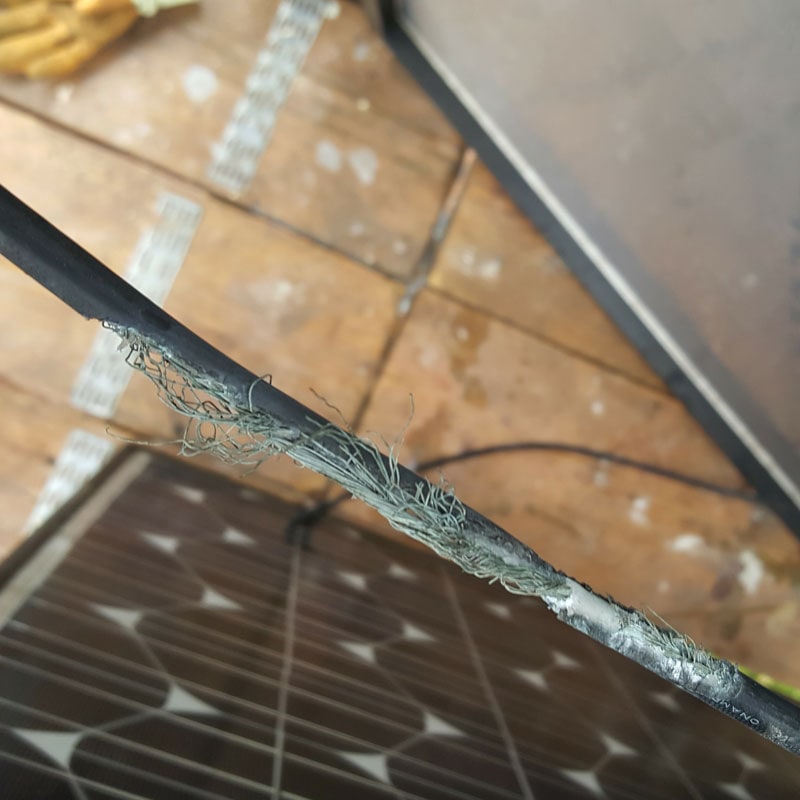 Damaged Cable